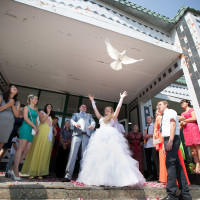 голуби на свадьбу в электрогорске